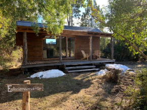 Mystic Nature Project Cabin